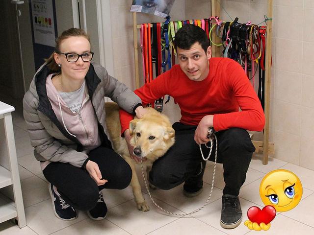Baghera ha trovato casa!